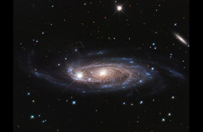 Rubin's Galaksisi